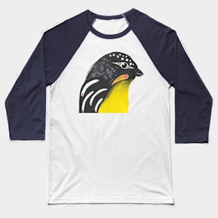 Native Birds of Australia Collage - Set 4 Pardalote Baseball T-Shirt